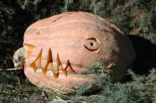 Rexy, Nipomo Pumpkin Patch, carving idea